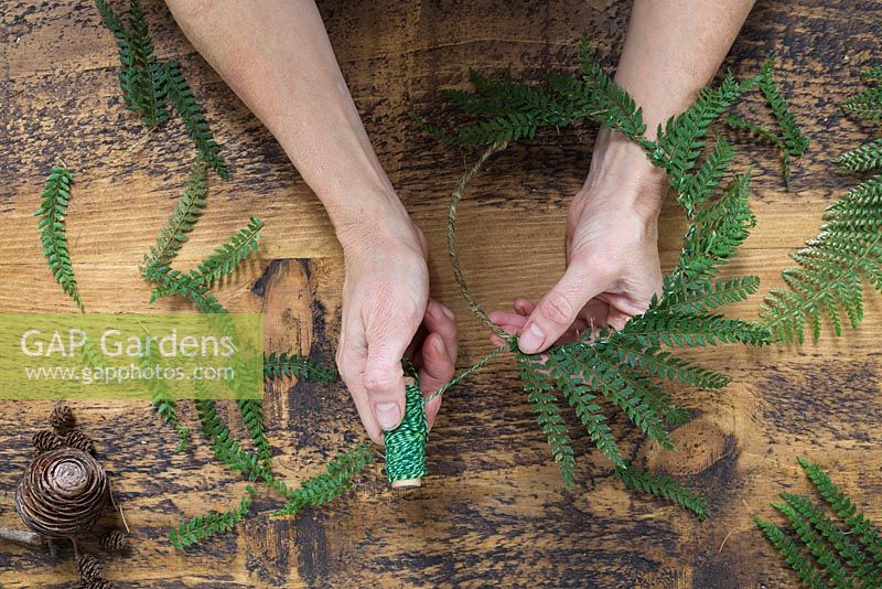 Use string to secure the Fern fronds to the wreath