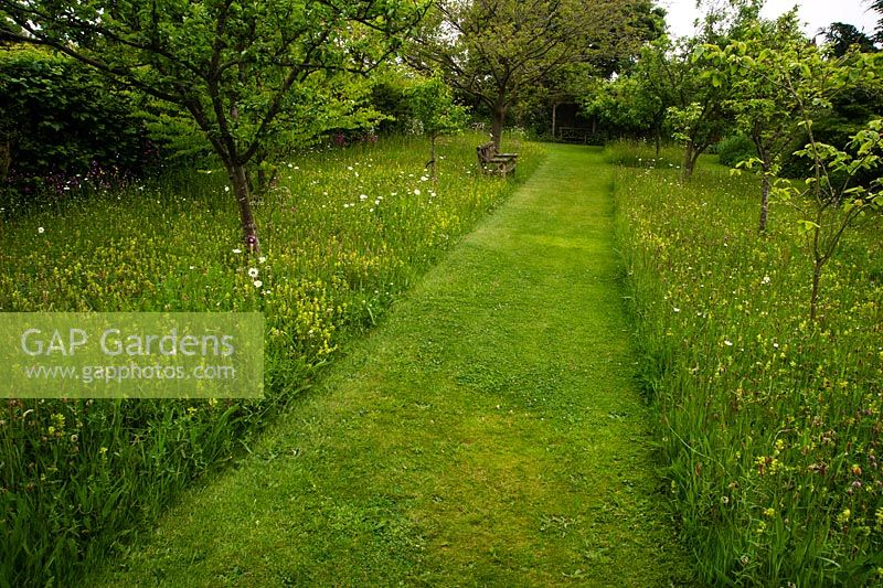 A mown path through orchard and wildflower meadow with garden bench, Bluebell cottage Garden and Nursery, Cheshire