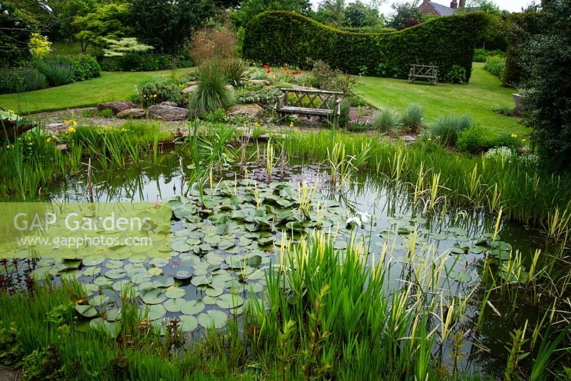 A view of the pond and garden bench, Bluebell cottage Garden Cheshire