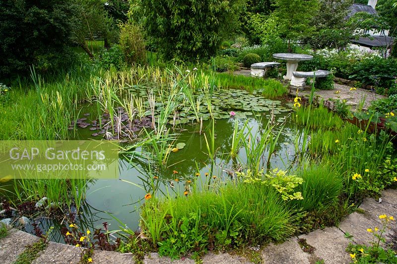 A view of the garden pond and garden furniture, Bluebell cottage Garden, Cheshire