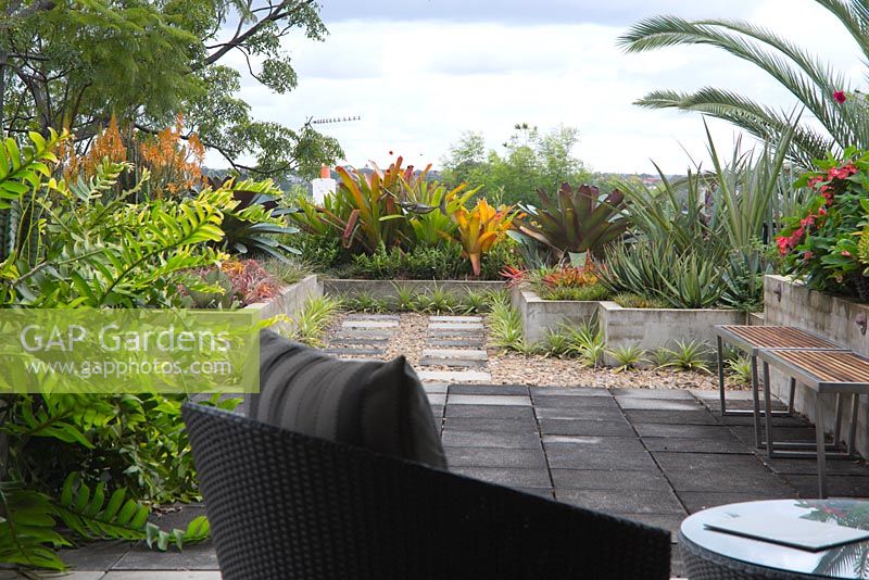 View from living room out to a rooftop garden, featuring the colourful foliage of assorted bromeliads, succulents and sun-loving plants