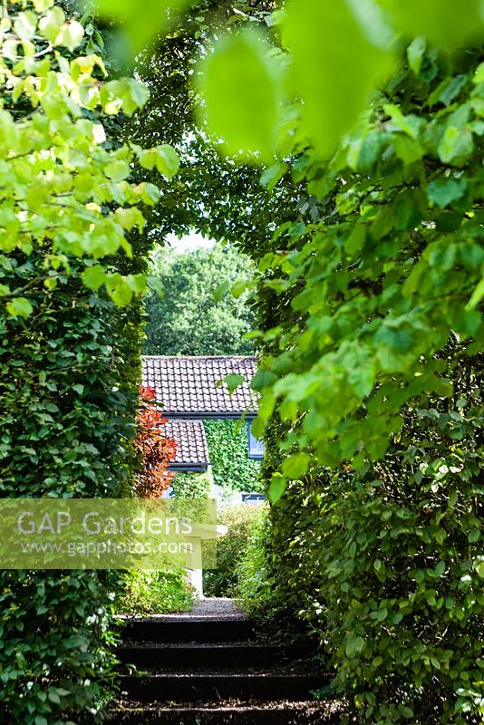 View through tunnel of Carpinus betulus - Hornbeam to the Front Garden and bird bath. Veddw House Garden, Monmouthshire, South Wales. Garden created by Anne Wareham and Charles Hawes.