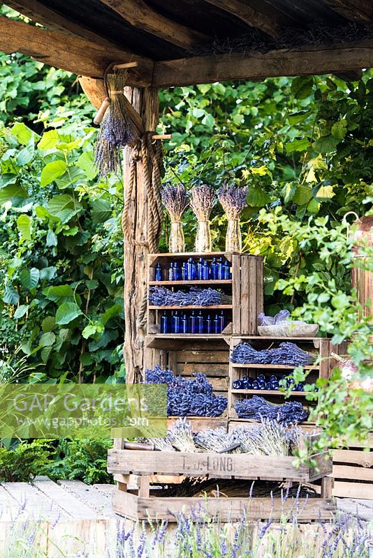Garden storage with blue decorative bottles and dried Lavender in wooden baskets. The Lavender Garden, Designers: Paula Napper, Sara Warren, Donna King. Sponsor: Shropshire Lavender. RHS Hampton Court Flower Show 2016