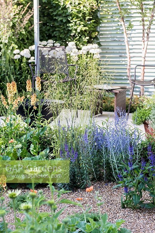 Flower bed with Perovskia 'Lacey Blue', Verbascum 'Clementine', Deschampsia cespitosa 'Goldtau'. Retreat Garden. Designer: Martin Royer, Sponsor: Final5 