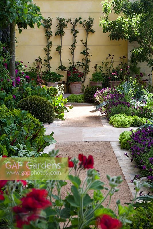 Stone and gravel pathway leading to cordoned pear trees in a courtyard garden growing flowers, fruit and vegetables. Plants include Lavandula Regal Splendour, Artichoke, Ruby chard and Taxus baccata