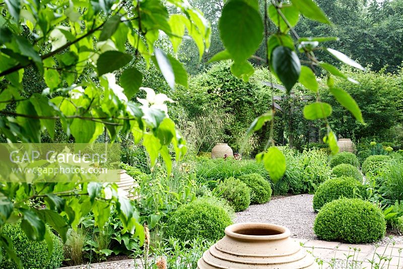 A gravel garden with topiary box balls. Mitton Manor, Staffordshire. 