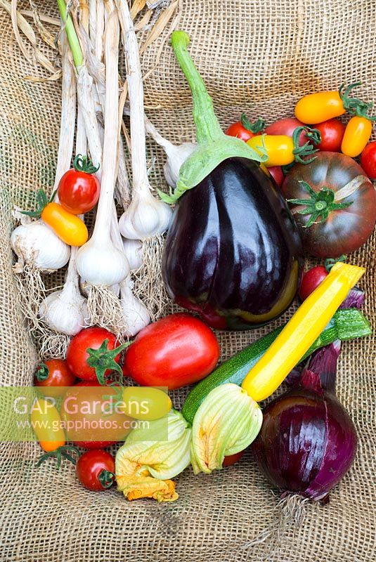 Various freshly harvested summer vegetables, including tomatoes, onion, courgettes, aubergine and garlic.