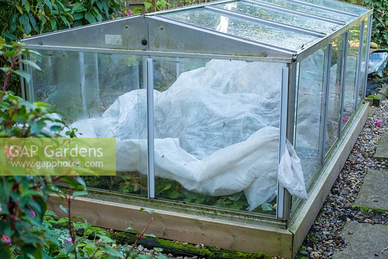 Aluminium coldframe with fleece inside to protect tender plants.