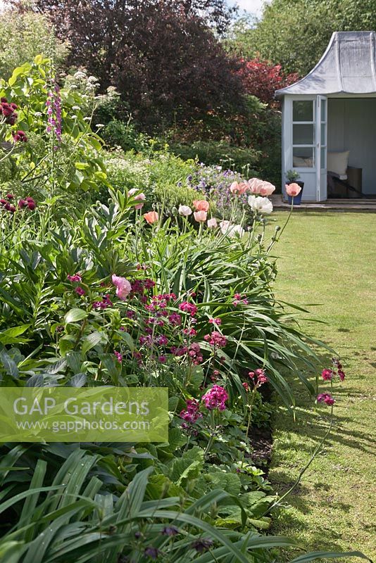 Summer border with pink and white colour themed planting.  Including poppies.  View across lawn to pale blue painted summerhouse. Cottage garden, June.  Cheshire.
