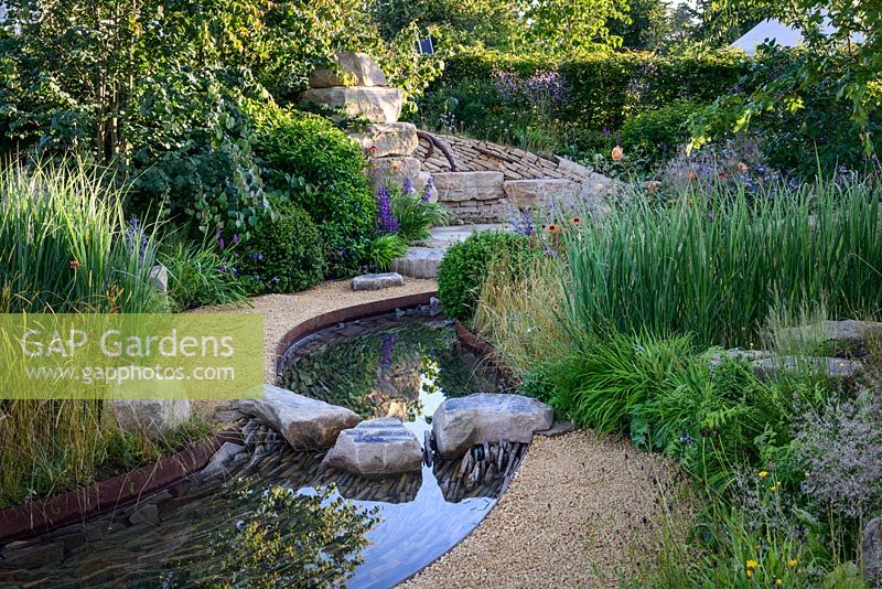 Rock stepping stones over a water rill, Cercidiphyllum japonicum with Prunus lusitanica and Panicum virgatum 'Northwind' - Zoflora: Outstanding Natural Beauty, RHS Hampton Court Palace Flower Show 2016