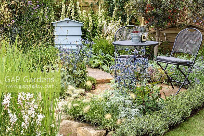 Seating area surrounded by a beehive, Eryngium bourgatii, Pennisetum villosum, Artemisia 'Powis Castle', Gaura lindheimeri 'Whirling Butteflies' and Hebe - The Drought Garden, RHS Hampton Court Palace Flower Show 2016