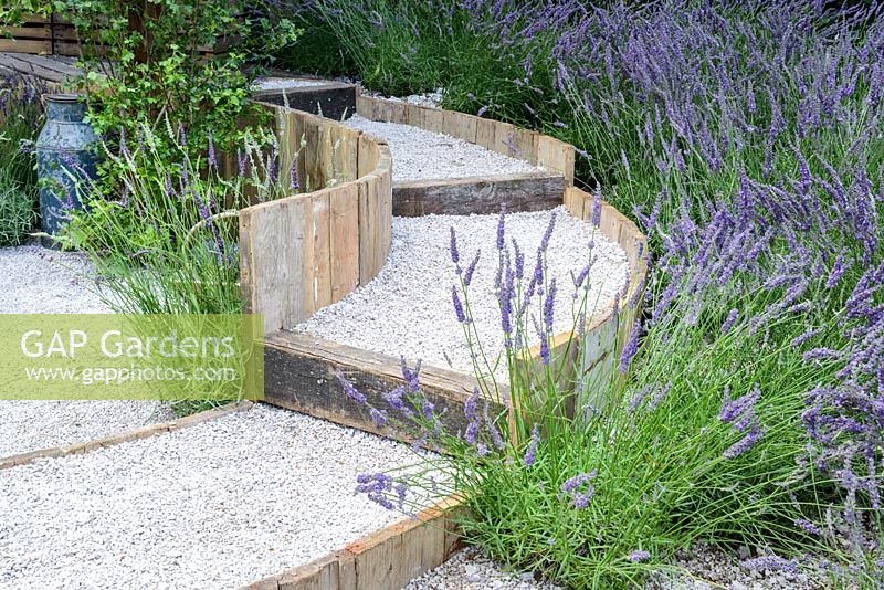 A circular, stepped gravel pathway surrounderd by lavender. Hampton Court Flower Show 2016