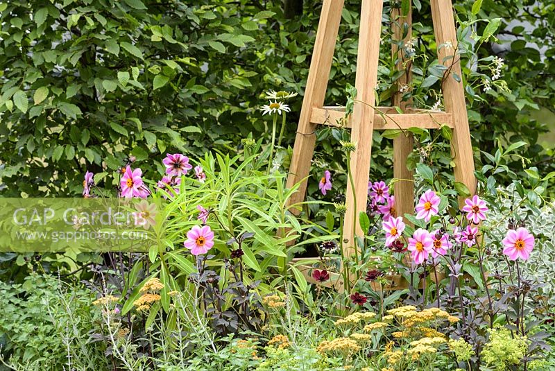 A detail of an obelisk underplanted with pink Dahlia, Achillea 'Walter Funke, Euphorbia mellifera and Alchemilla mollis in CCLA. A Summer Retreat, Design: Amanda Waring and Laura Arison, RHS Hampton Court Palace Flower Show 2016.