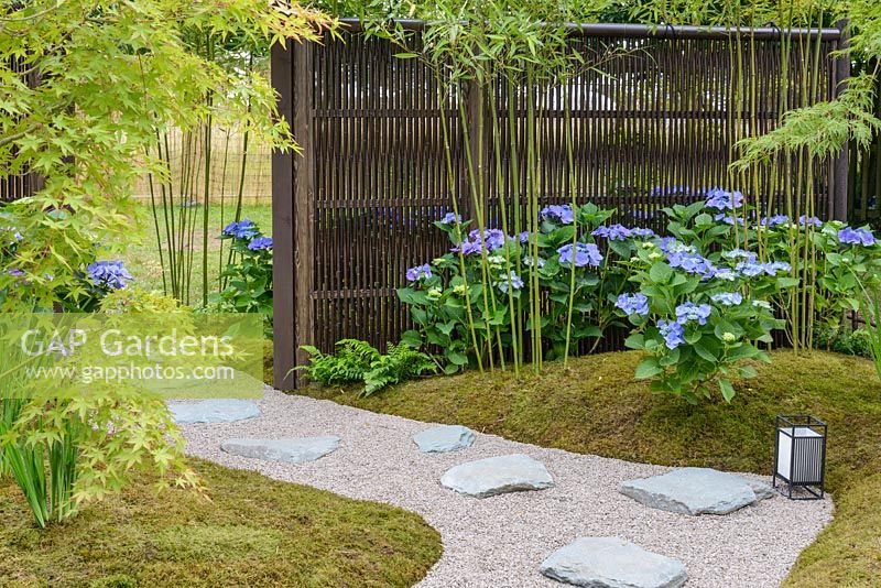 Path leading between moss lawn with Acer palmatum, Hydrangea macrophylla 'Blaumeise' and Phyllostachys - Japanese Summer Garden, RHS Hampton Court Palace Flower Show 2016