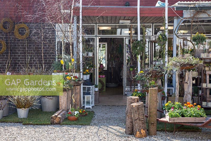 Showroom entrance with Easter decoration, Primula, Ranunculus asiaticus and Salix