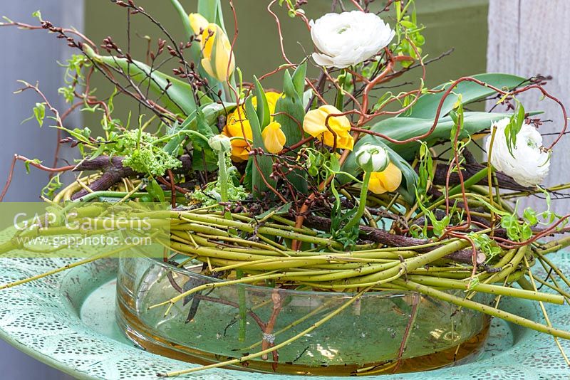 Spring flower arrangement in a glass bowl with Ranunculus asiaticus and Tulipa
