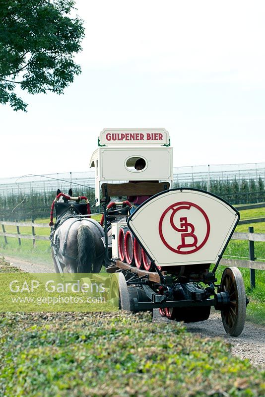Authentic horse-drawn wagon with Gulpener beer