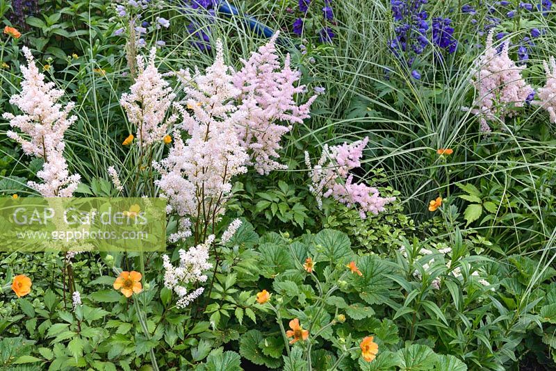 The Abbeyfield Society: a Breath of Fresh Air, RHS Hampton Court Palace Flower Show 2016. Design: Rae Wilkinson