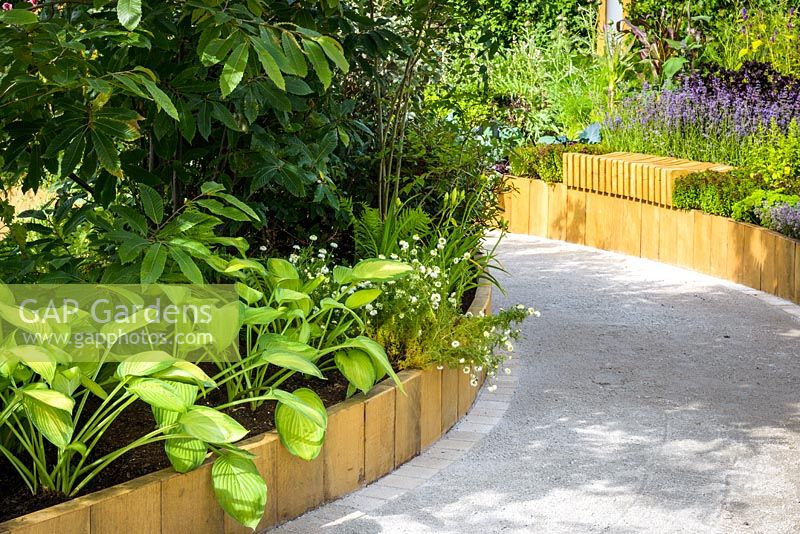 Wooden sculpted bench over wide sunken curving pathway with Hosta montana and  Lavandula angustifolia 'Munstead'. Witan Investment Trust Global Growth Garden, RHS Hampton Court Flower Show 2016