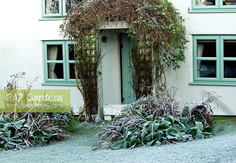 Cottage and front garden with lawn and beds of frosted foliage