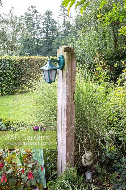 Wooden lamp post in a bed with Fuchsia, Miscanthus sinensis and Miscanthus sinensis 'Gracillimus'