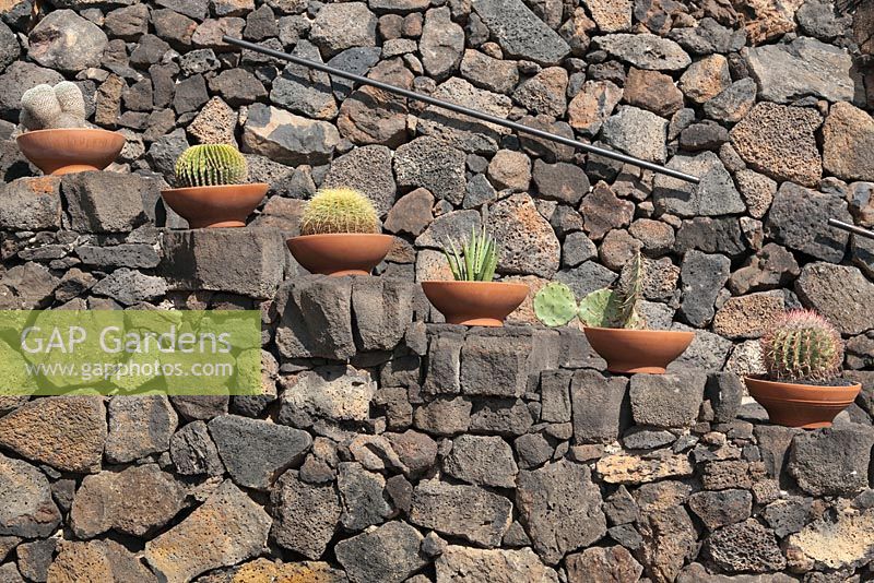 Lava stone walls and steps with terracotta pots of cacti - El Jardin de Cactus, Lanzarote, Canary Islands   