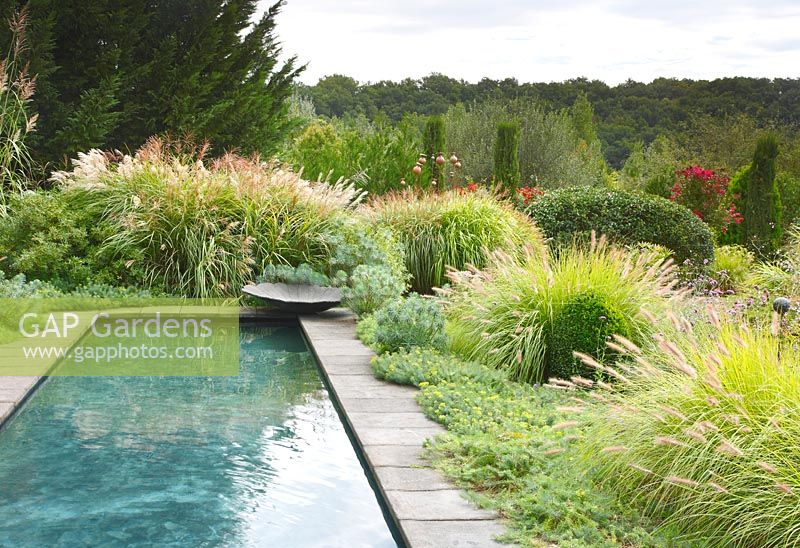 In a corner by the pool stands a lotus leaf-shaped basin created by the owners, the planting includes Pennisetum alopecuroides 'Japonicum', Euphorbia cyparissias 'Clarice Howard', Euphorbia characias, buxus sempervirens and Miscanthus in les Jardins de la Poterie Hillen.