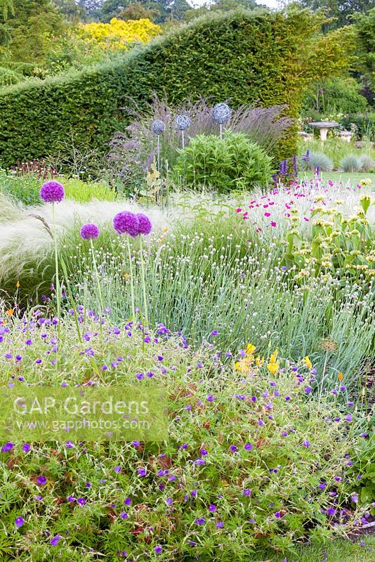 The herbaceous border in the foreground features plants including: Geraniums, Alliums, Phlomis russeliana, Lychnis coronaria, Agastache and Stipa. Bluebell Cottage Gardens, Cheshire.