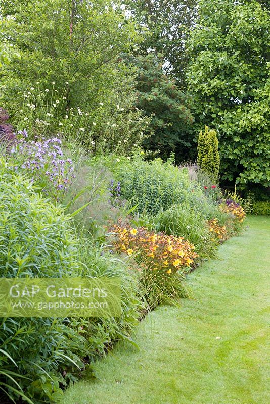 A long herbaceous border featuring plants such as Hemerocallis 'Corky', Foeniculum vulgare 'Purpureum' and Campanula lactifolia at Bluebell Cottage Gardens, Cheshire