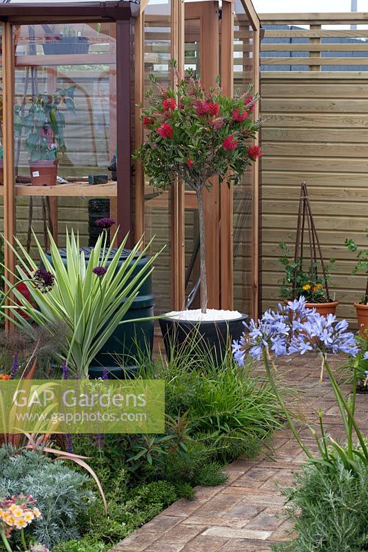 Greenhouse in the Greener Pastures garden at  BBC Gardener's World Live 2015