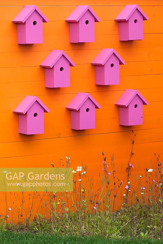 Coloured bird boxes in The Family Garden at BBC Gardener's World Live 2015