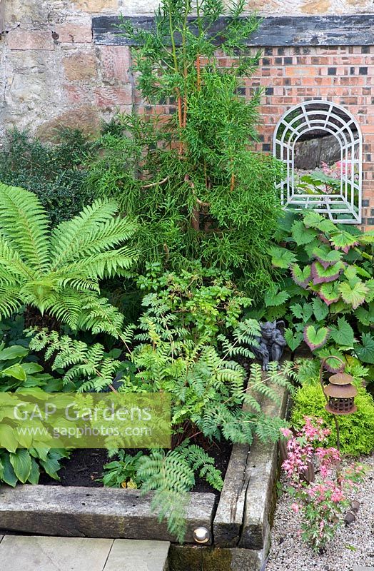 Shady corner featuring ferns, hostas and a mirror 'window'