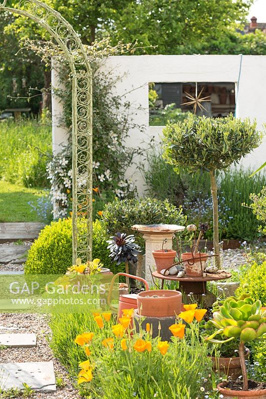 Courtyard garden with box topiary, lavender, Eschscholzia californica, wirework arch, found objects and improvised sculptures.
