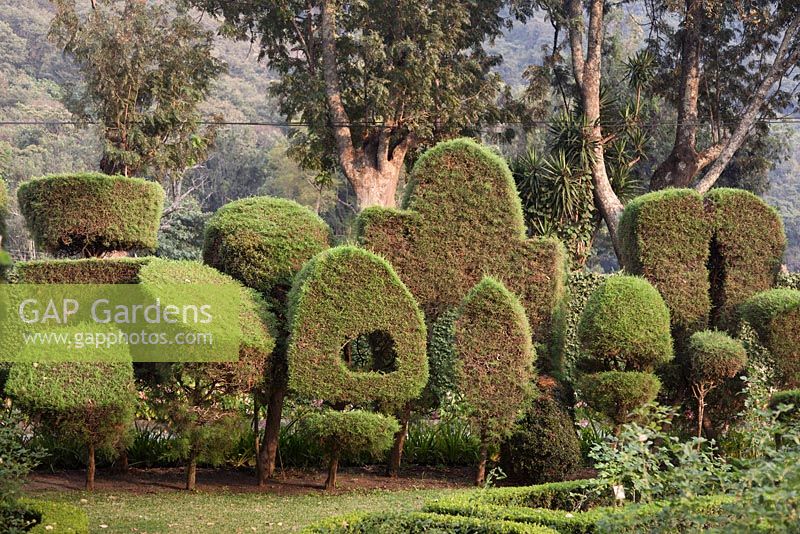 Topiary shapes - Lake Atitlan Hotel, Guatemala