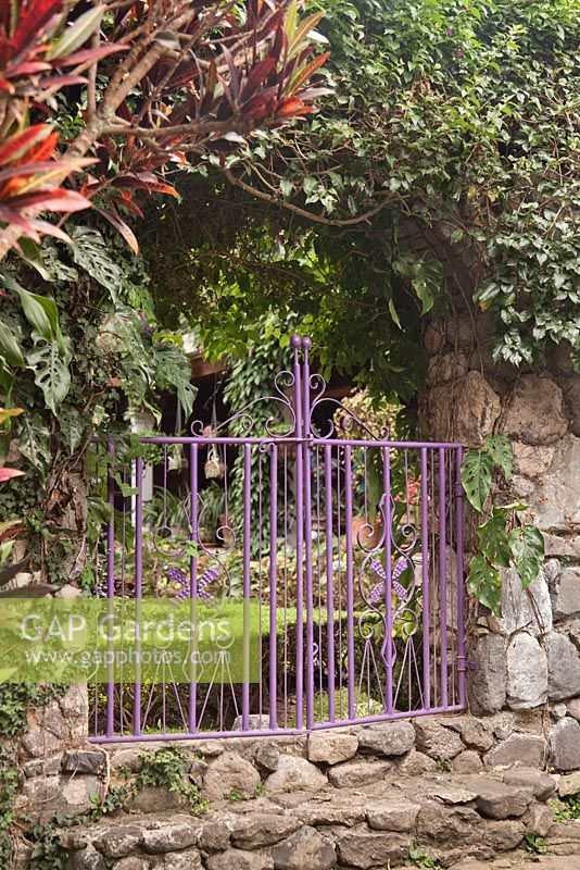 Purple painted decorative metal gate in stone wall dividing garden rooms - Lake Atitlan Hotel, Guatemala