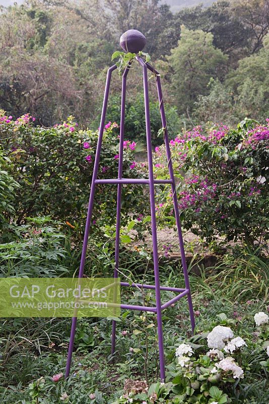 Purple painted decorative obelisk plant support in border - Lake Atitlan Hotel , Guatemala