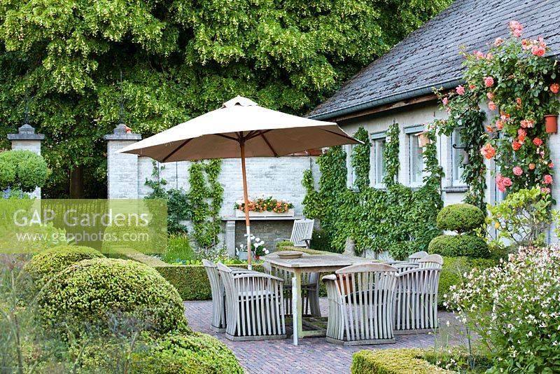 Relaxing area on a patio. Box topiary, hedging, flowering climbing rose, perennial border. Design: Francis Denayer