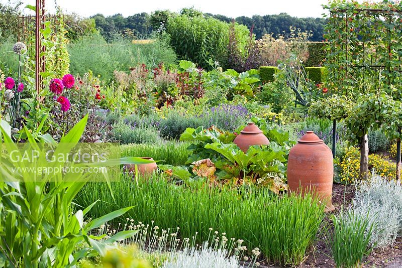 Beds of vegetables and herbs in kitchen garden. Design: Dineke Logtenberg