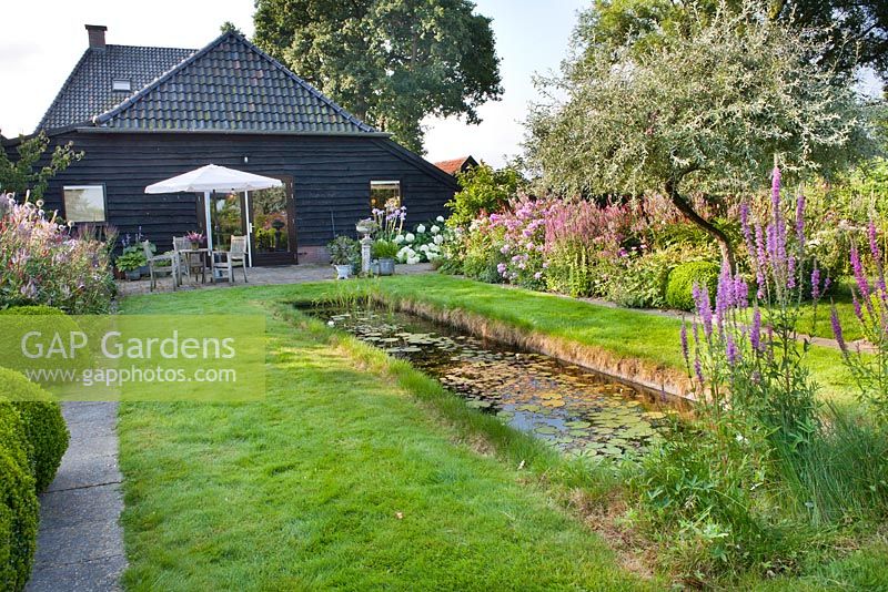 View across the garden with natural pond, perennial borders and relaxing patio. Lythrum salicaria. Design: Karin Cruijs