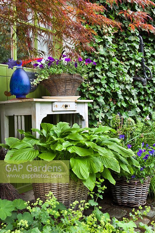 Floral arrangements of wicker baskets planted with Hosta and Viola and old table. Branches of Acer palmatum var. dissectum - japanese maple. Design: Dina Deferme