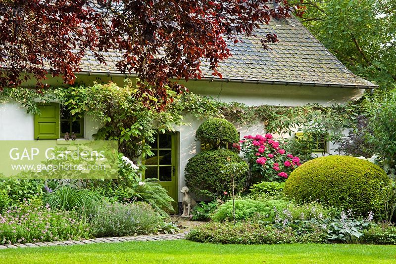 Planting at the entrance to the house includes Hydrangea macrophylla, yew topiary Sedum, ferns, Geranium, Nepeta. Design: Dina Deferme
