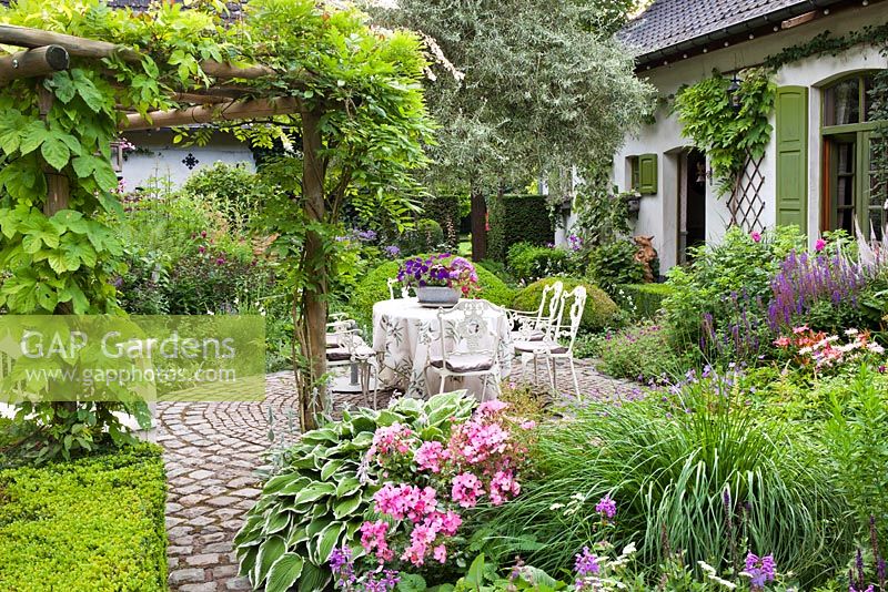 Courtyard with paved patio and mixed borders. Planting includes Rosa 'Fortuna', Salvia 'Caradonna', Hosta 'Crispula', Salvia nemerosa 'Senior' and Geranium â€˜Rozanneâ€™.  Design: Dina Deferme