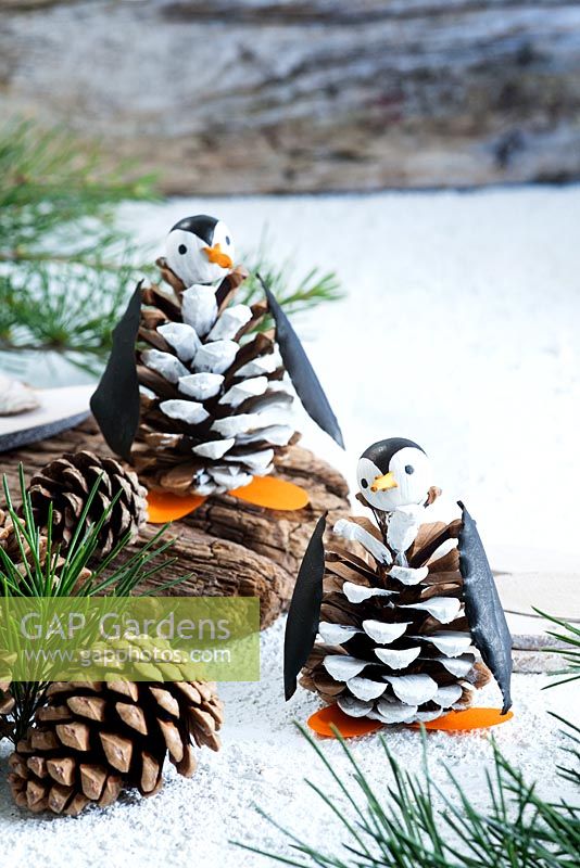 Pine cone penguins