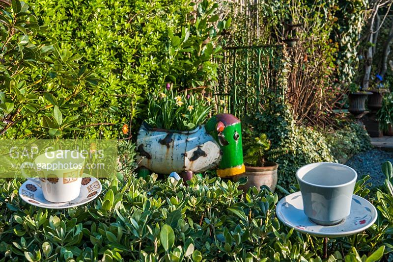 Driftwood garden - teacups on hedge