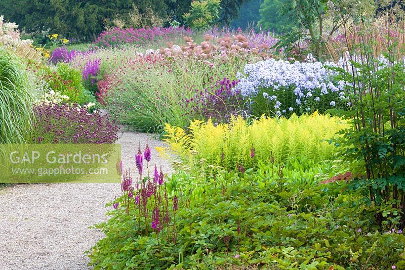 A path through the Floral Labyrinth planting includes Astilbes, Solidago, Knautia macedonica and Phlox paniculata. Trentham Gardens, Staffordshire
