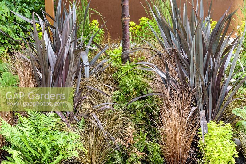 Texture-based planting scheme with Phormium, bronze Carex and  ferns in The Man Garden, BBC Gardeners World Live 2016.
