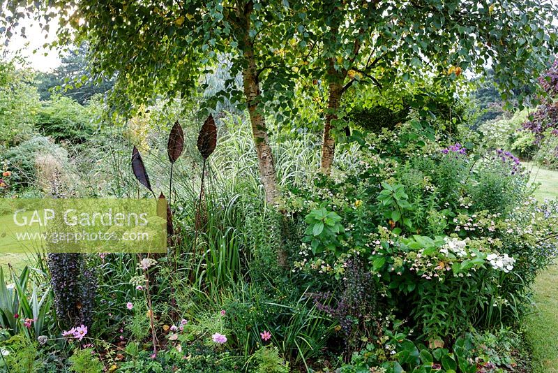 Little Ash Garden, Fenny Bridge, Devon. Autumn garden.  Metal garden sculpture beneath Silver Birch tree amongst shrubs