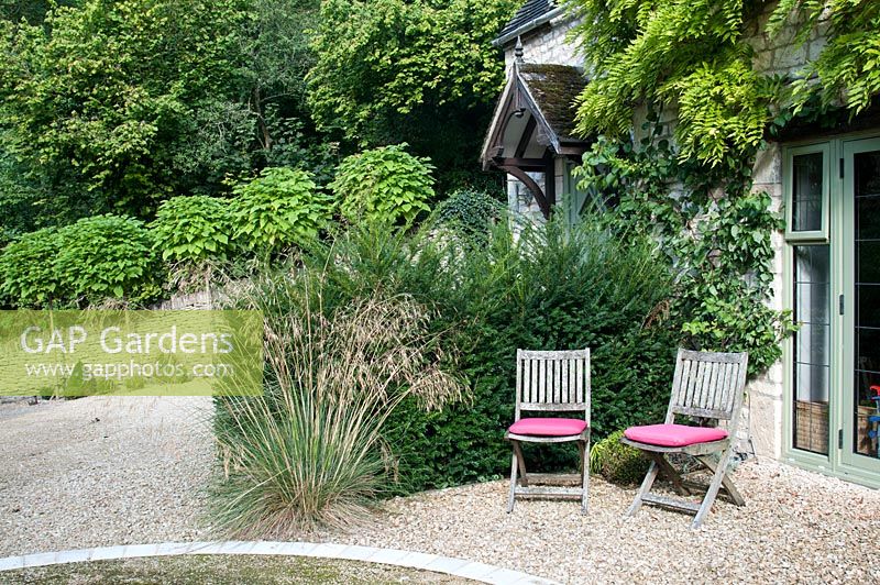 Gravelled seating area by house and planting of Stipa gigantea Taxus baccata Wisteria and Catalpa bignonioides 'Aurea' standards Hawkley Cottage Gloucestershire September
