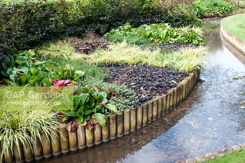Raised bed above stream with mixed tapestry evergreen planting of Ajuga reptans 'Catlin's Giant', bugle Bergenia 'Eric Smith', Euphorbia cyparissias 'Fens Ruby', cypress spurge, Hebe Heuchera, Carex and Fagus sylvatica Purpurea hedge