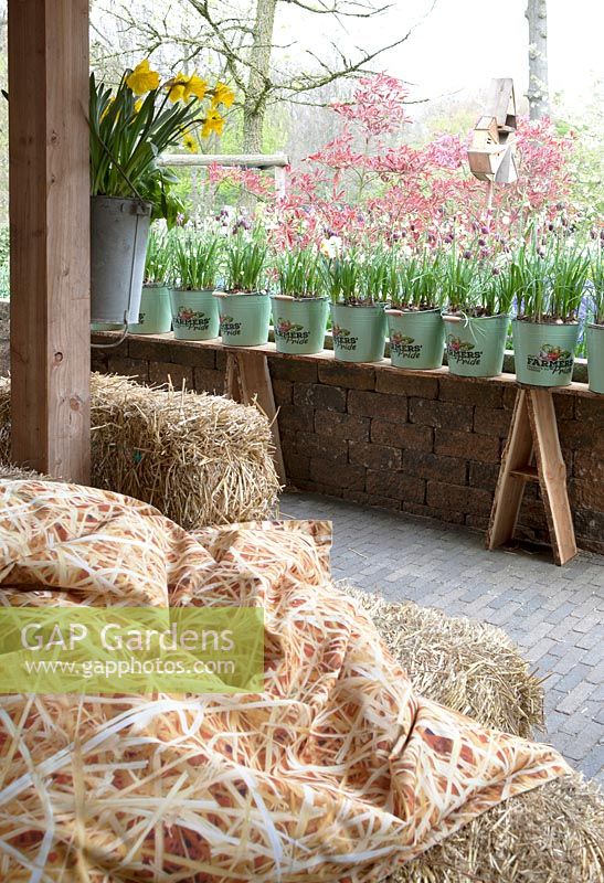 Lounge seat of hay with hay decorated pillows. Fritillaria messanensis in decorated buckets on a tray. Farm-inspiration garden at Keukenhof 2017.
